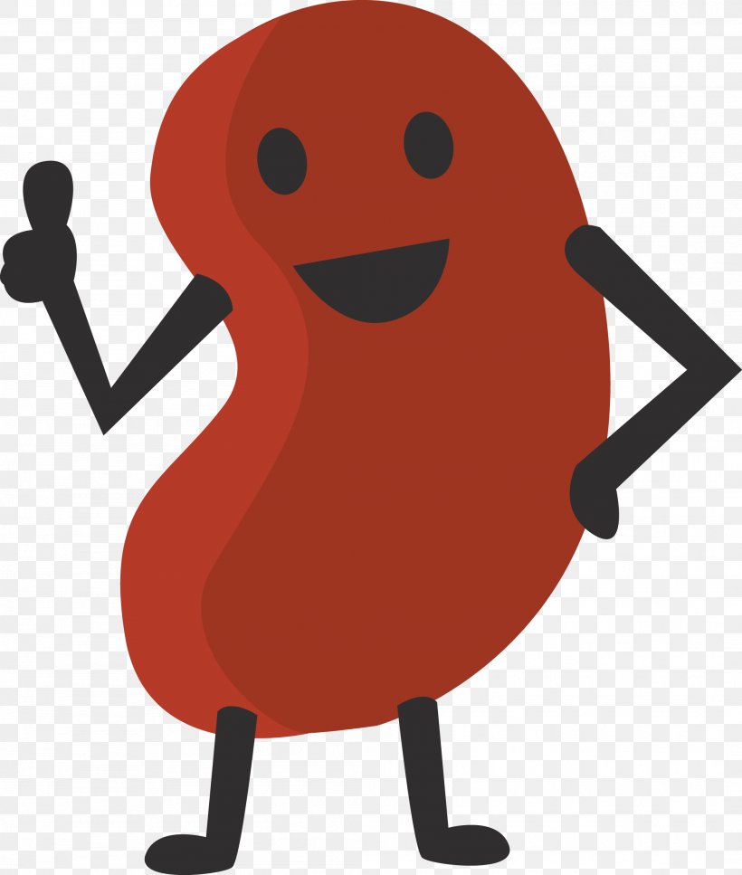 Kidney Bean Urine National Kidney Foundation Clip Art, PNG, 2101x2480px, Watercolor, Cartoon, Flower, Frame, Heart Download Free
