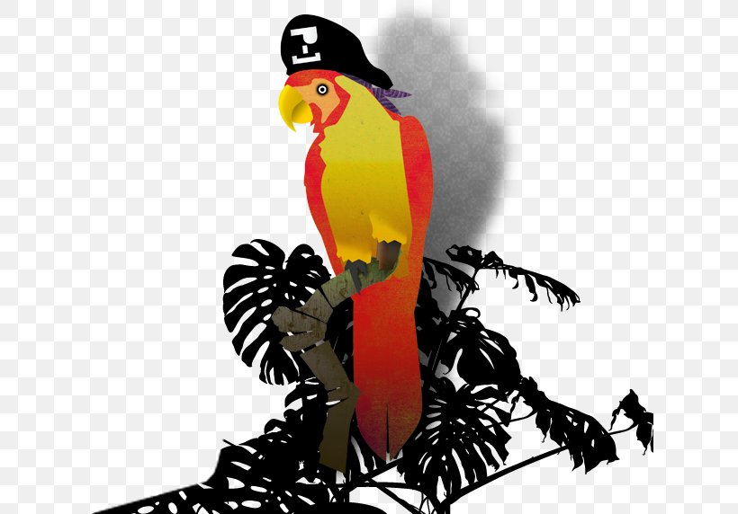 Looting Piracy Bird Parrot Toucan, PNG, 633x572px, Looting, Animal, Beak, Bird, Chicken Download Free