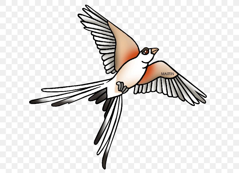 Oklahoma Scissor-tailed Flycatcher Free Content Clip Art, PNG, 648x594px, Oklahoma, Beak, Bird, Drawing, Fauna Download Free