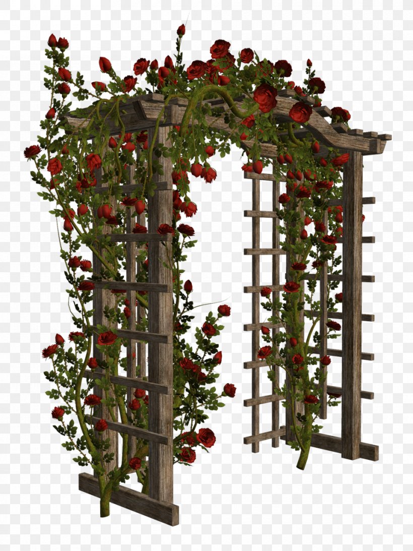 Rose Flower Drawing, PNG, 960x1280px, Arch, Arch Bridge, Architecture, Branch, Door Download Free