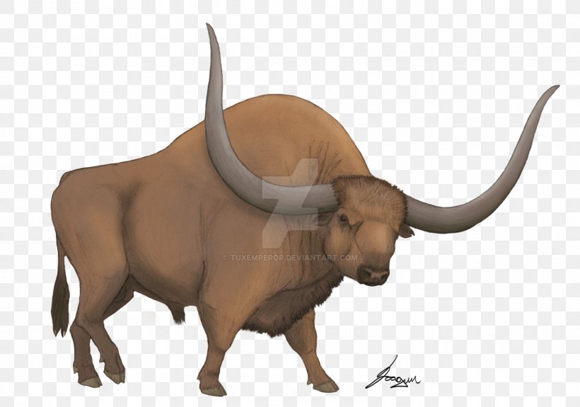 Bison Latifrons Cattle American Bison Horn Animal, PNG, 1600x1123px, Bison Latifrons, American Bison, Animal, Art, Bison Download Free
