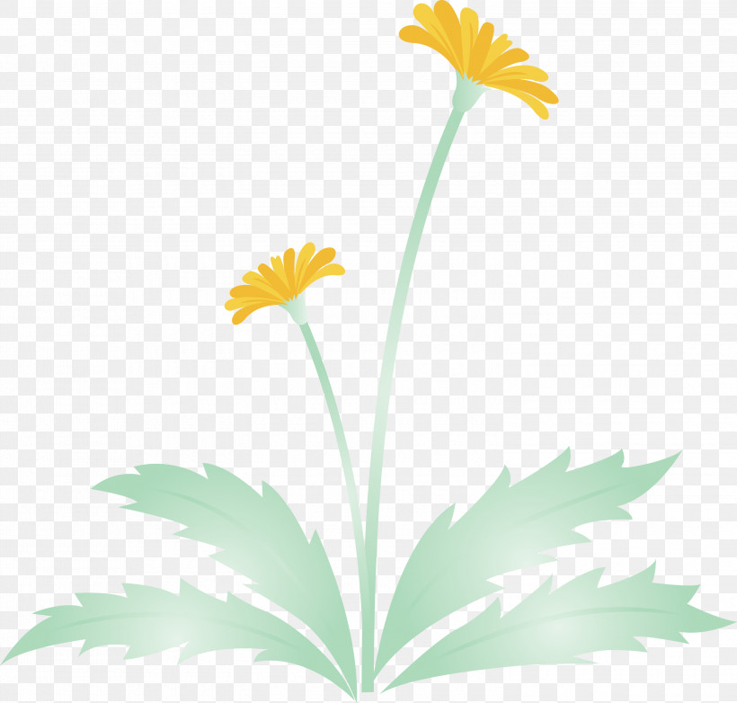 Dandelion Flower Easter Day Flower Spring Flower, PNG, 3000x2864px, Dandelion Flower, Camomile, Chamomile, Daisy, Daisy Family Download Free