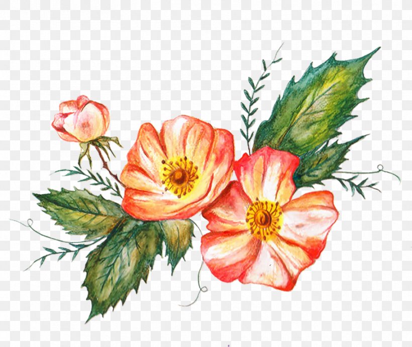 Rose Floral Design Cut Flowers Petal, PNG, 911x769px, Rose, Botany, Cut Flowers, Floral Design, Flower Download Free