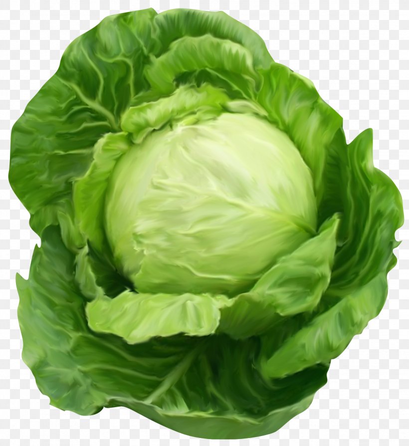 Cabbage Vegetable Clip Art, PNG, 1232x1344px, Cabbage, Bell Pepper, Brassica Oleracea, Broccoli, Cauliflower Download Free