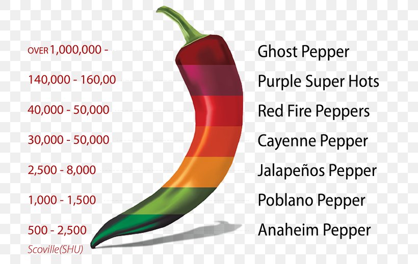 Chili Pepper Jalapeño Bell Pepper Cayenne Pepper Scoville Unit, PNG, 781x519px, Chili Pepper, Bell Pepper, Bell Peppers And Chili Peppers, Capsicum Annuum, Cayenne Pepper Download Free