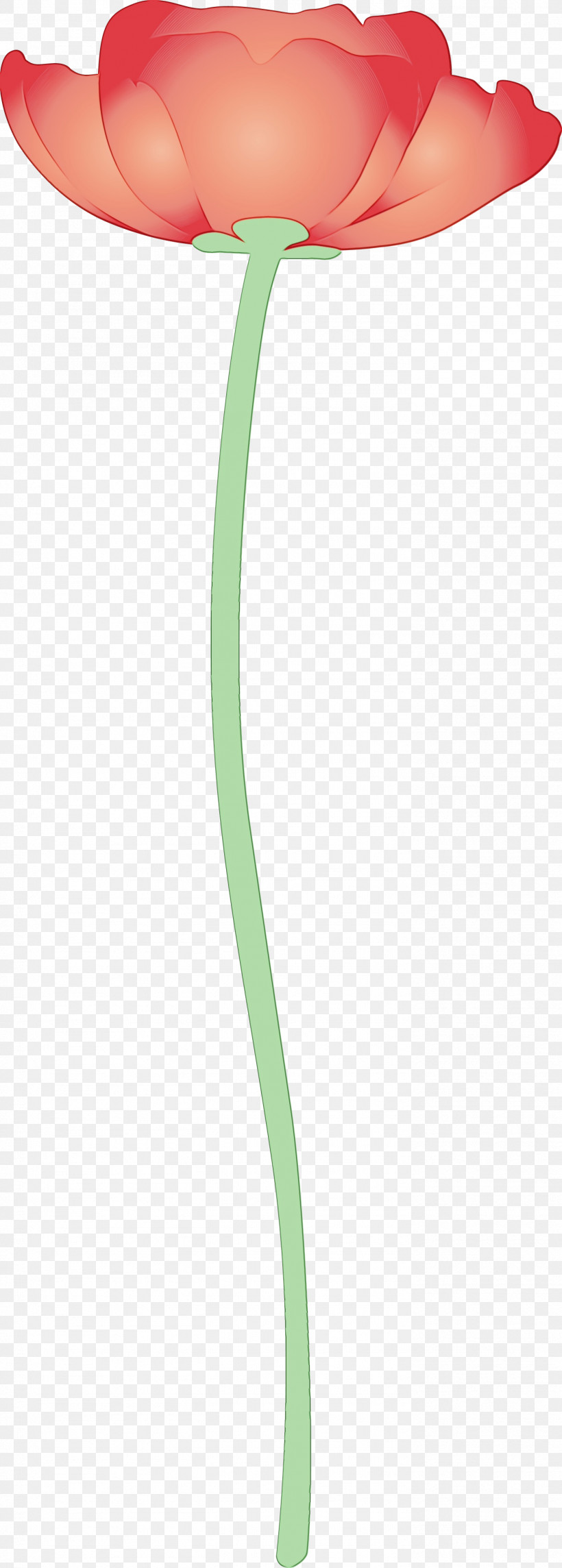 Green Line Plant, PNG, 1399x3905px, Watercolor, Green, Line, Paint, Plant Download Free