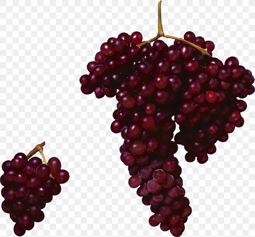Red Wine Concord Grape Common Grape Vine, PNG, 2483x2313px, Red Wine, Berry, Boysenberry, Common Grape Vine, Flowering Plant Download Free