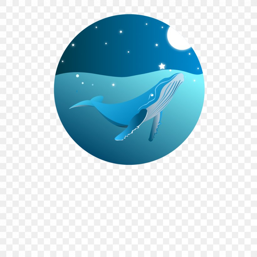 Dolphin Water Desktop Wallpaper, PNG, 1018x1018px, Dolphin, Aqua, Azure, Computer, Electric Blue Download Free