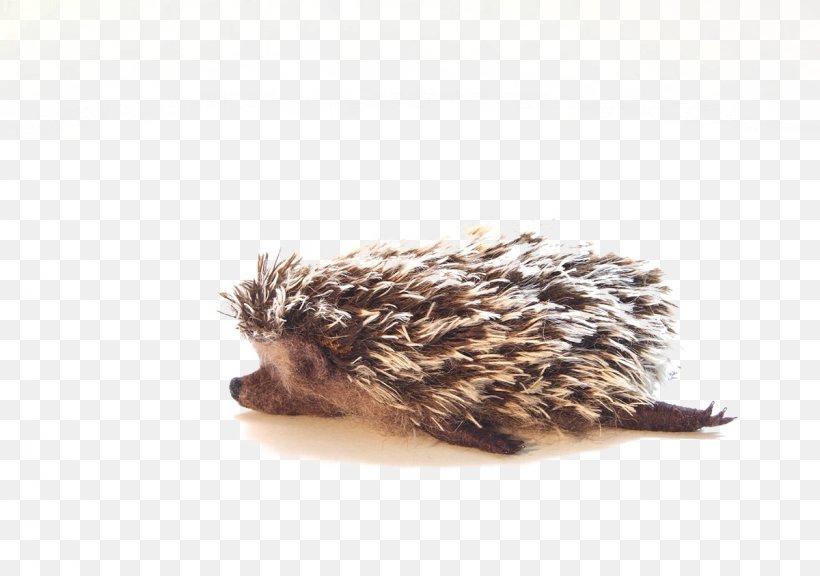 Domesticated Hedgehog Illustration, PNG, 1200x844px, Hedgehog, Animation, Domesticated Hedgehog, Echidna, Erinaceidae Download Free