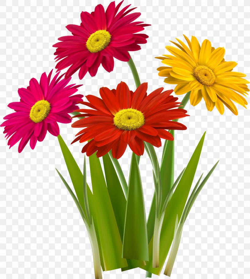 Flowerpot Vase Clip Art, PNG, 1073x1200px, Flowerpot, Annual Plant, Camera, Cut Flowers, Daisy Family Download Free