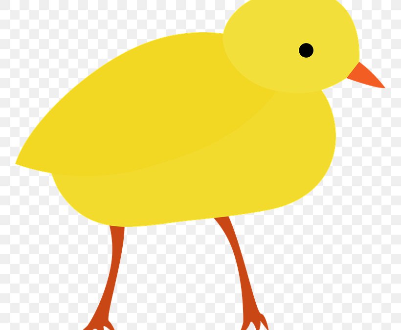 Duck Beak Animated Cartoon Clip Art, PNG, 757x675px, Duck, Animated Cartoon, Artwork, Beak, Bird Download Free