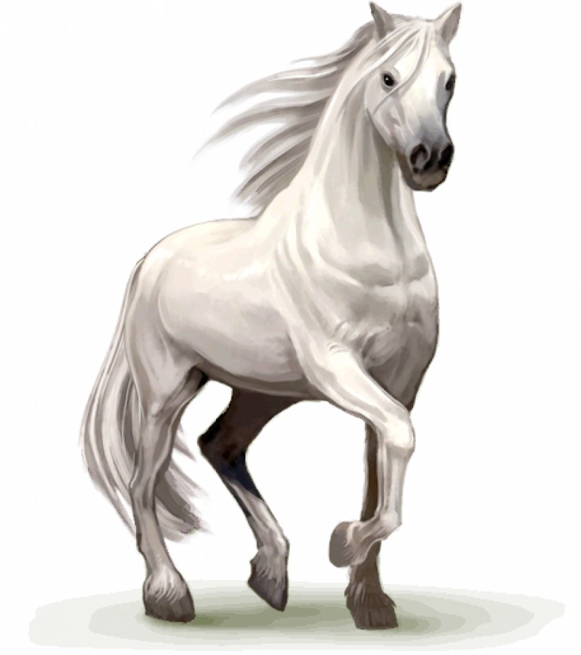 Howrse Horse Stallion Desktop Wallpaper, PNG, 1000x1129px, Howrse, Android, Equestrian Centre, Film, Horse Download Free