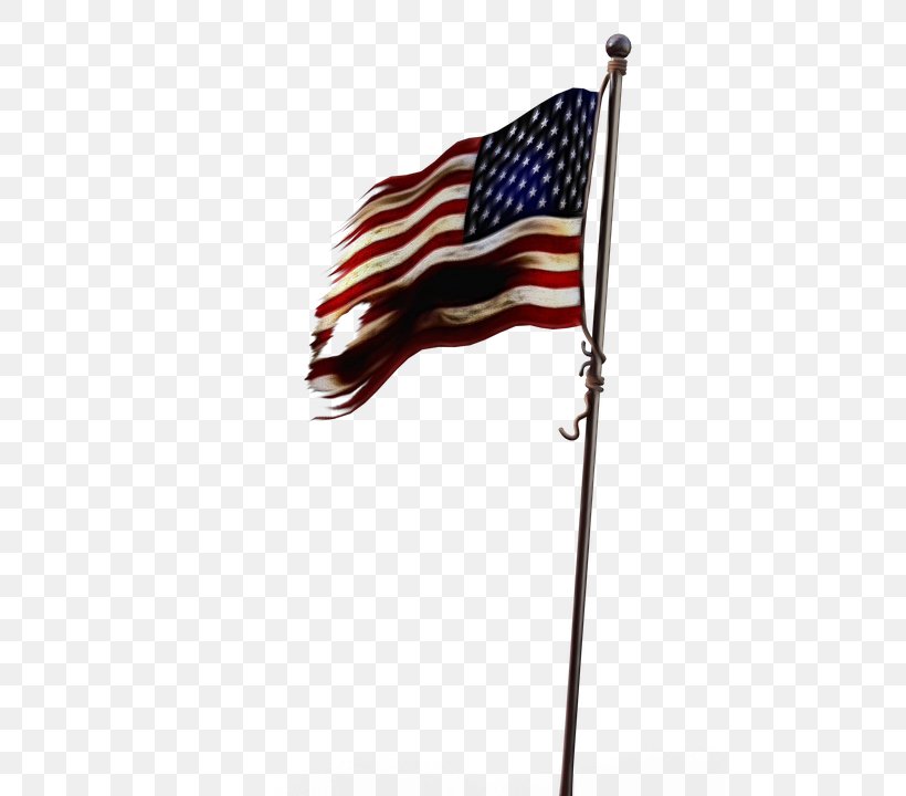 Flag Of The United States Image U.S. State, PNG, 495x720px, United States, Americas, Flag, Flag Day, Flag Day Usa Download Free