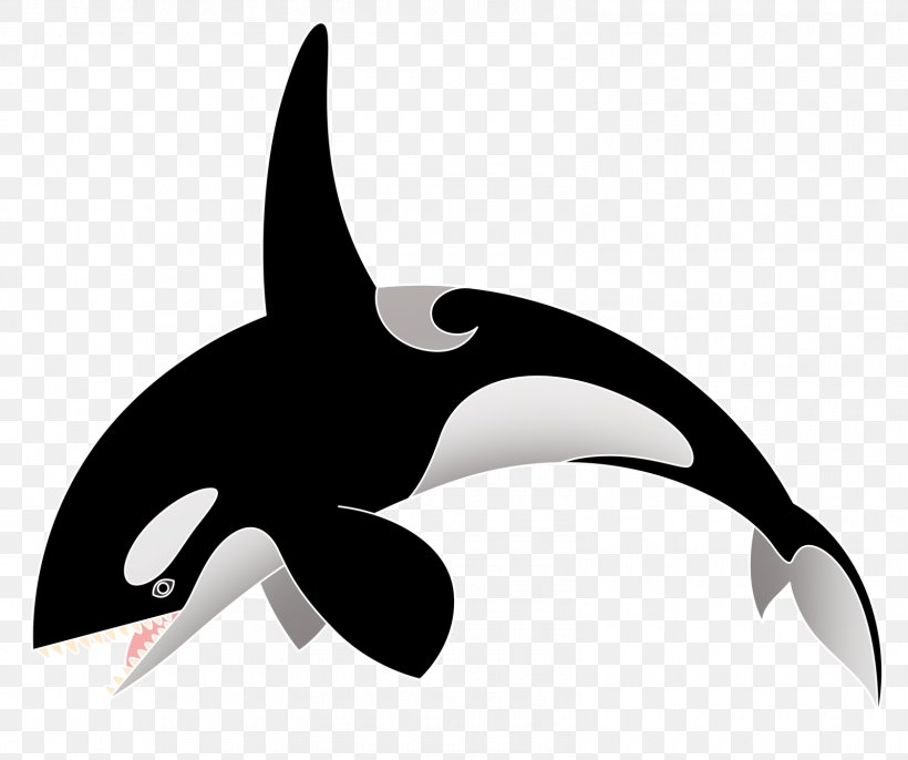 Killer Whale Cluburlaub Clubkino Siegmar Aldiana Octopus, PNG, 1600x1340px, Killer Whale, Aldiana, Beak, Black And White, Club Dread Download Free