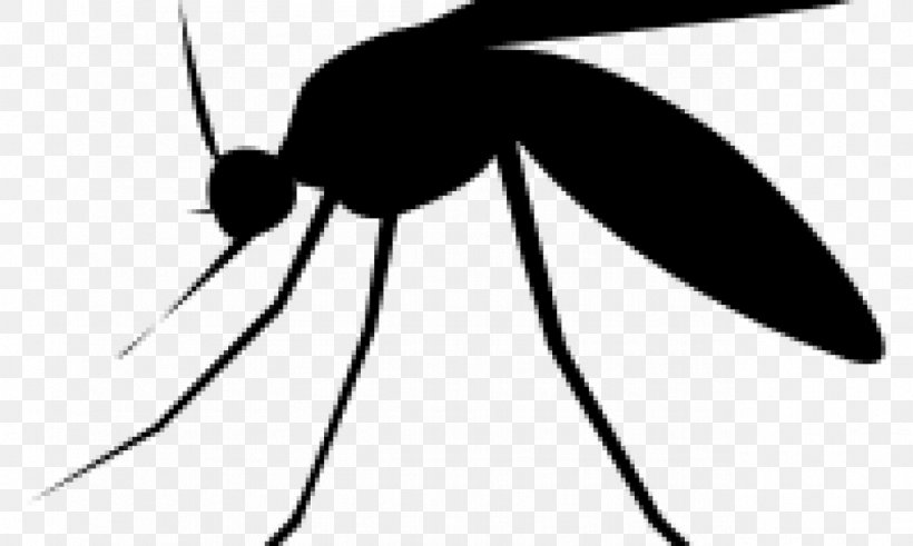 Mosquito Insect Pollinator Pest Control Clip Art, PNG, 1276x765px, Mosquito, Arthropod, Artwork, Black And White, Family Download Free