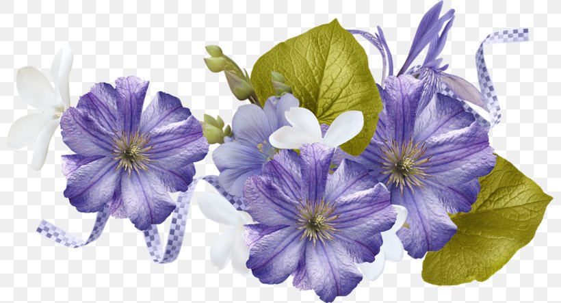 Violet Flower Art, PNG, 800x443px, Violet, Art, Blog, Blue, Cut Flowers Download Free