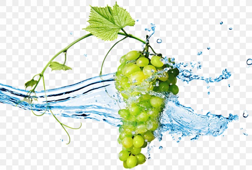 Wine Grape Stock Photography Berry Wallpaper, PNG, 1000x678px, Wine, Alamy, Berry, Display Resolution, Flowering Plant Download Free
