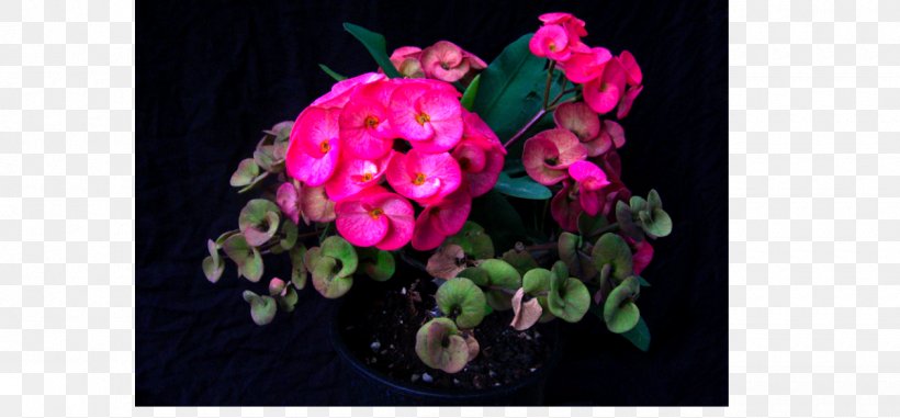 Floral Design Pink M Flowering Plant RTV Pink, PNG, 1260x586px, Floral Design, Flora, Floristry, Flower, Flower Arranging Download Free