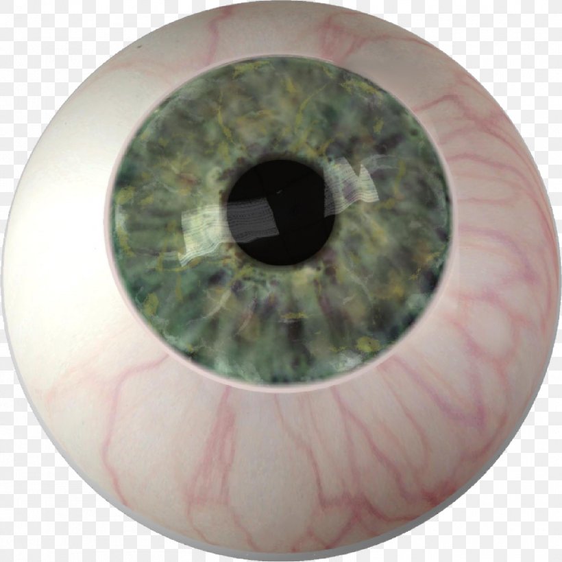 Iris Eye Color Ocular Prosthesis, PNG, 1604x1603px, Watercolor, Cartoon, Flower, Frame, Heart Download Free