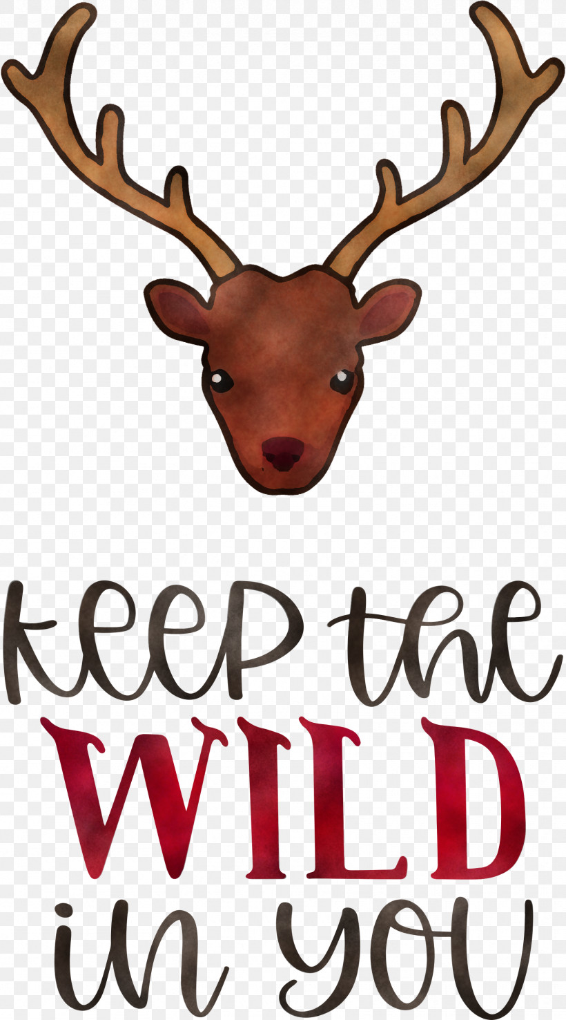 Keep Wild Deer, PNG, 1666x3000px, Keep Wild, Antler, Deer, Meter, Reindeer Download Free