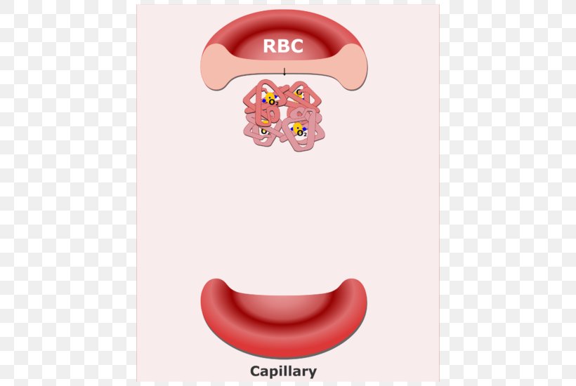 Red Blood Cell Bicarbonate Buffer System, PNG, 666x550px, Red Blood Cell, Bicarbonate, Bicarbonate Buffer System, Blood, Blood Cell Download Free