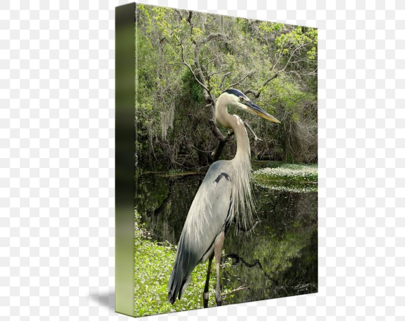 Egret Marabou Stork Heron Gallery Wrap Canvas, PNG, 480x650px, Egret, Art, Beak, Bird, Burger King Download Free