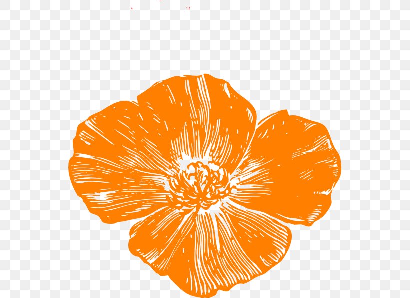 Remembrance Poppy California Poppy Clip Art, PNG, 546x597px, Poppy, Armistice Day, California Poppy, Color, Common Poppy Download Free