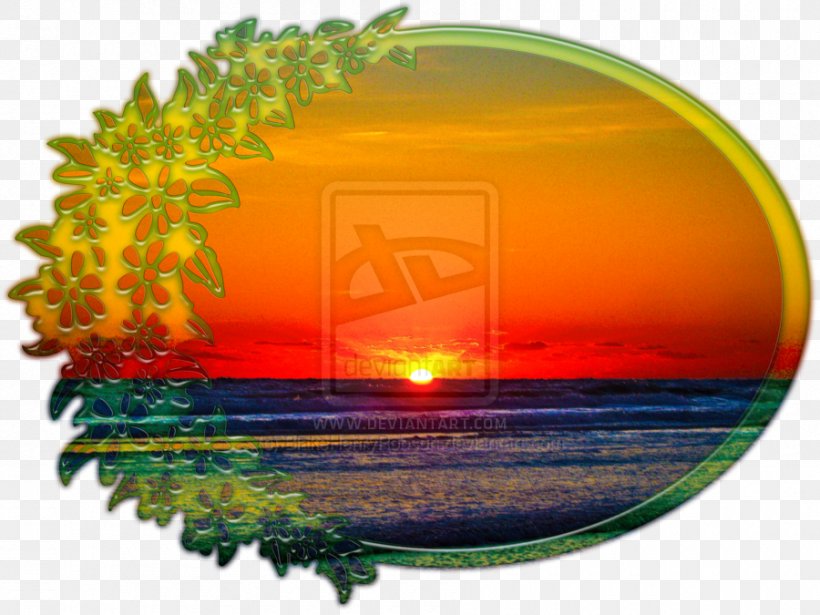 Sunrise Image Photograph Flower Sunset, PNG, 900x675px, Sunrise, Art, Canvas Print, Flower, Gallery Wrap Download Free