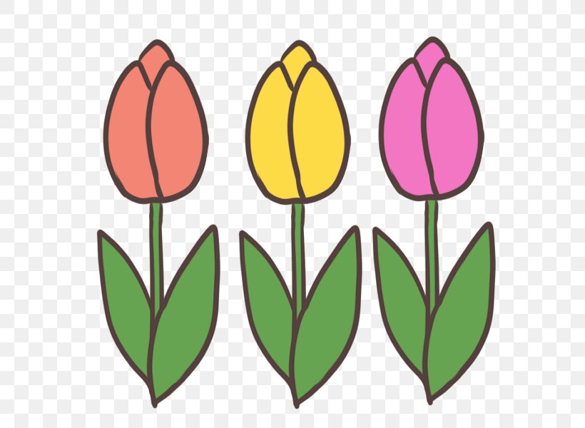 Tulip Plant Stem Petal Clip Art, PNG, 600x600px, Tulip, Artwork, Bud, Color, Dandelion Download Free