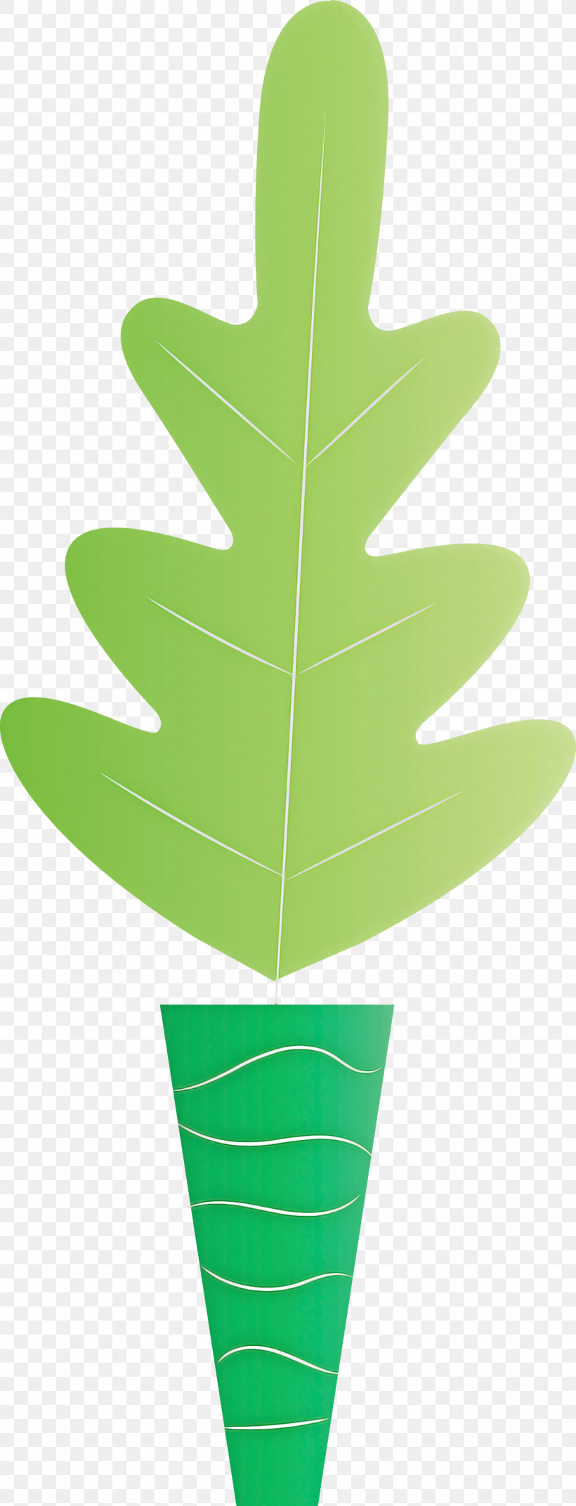 Leaf Plant Stem Geometry Line Leaf Angle Distribution, PNG, 1147x3000px, Leaf, Angle, Biology, Circle, Geometry Download Free