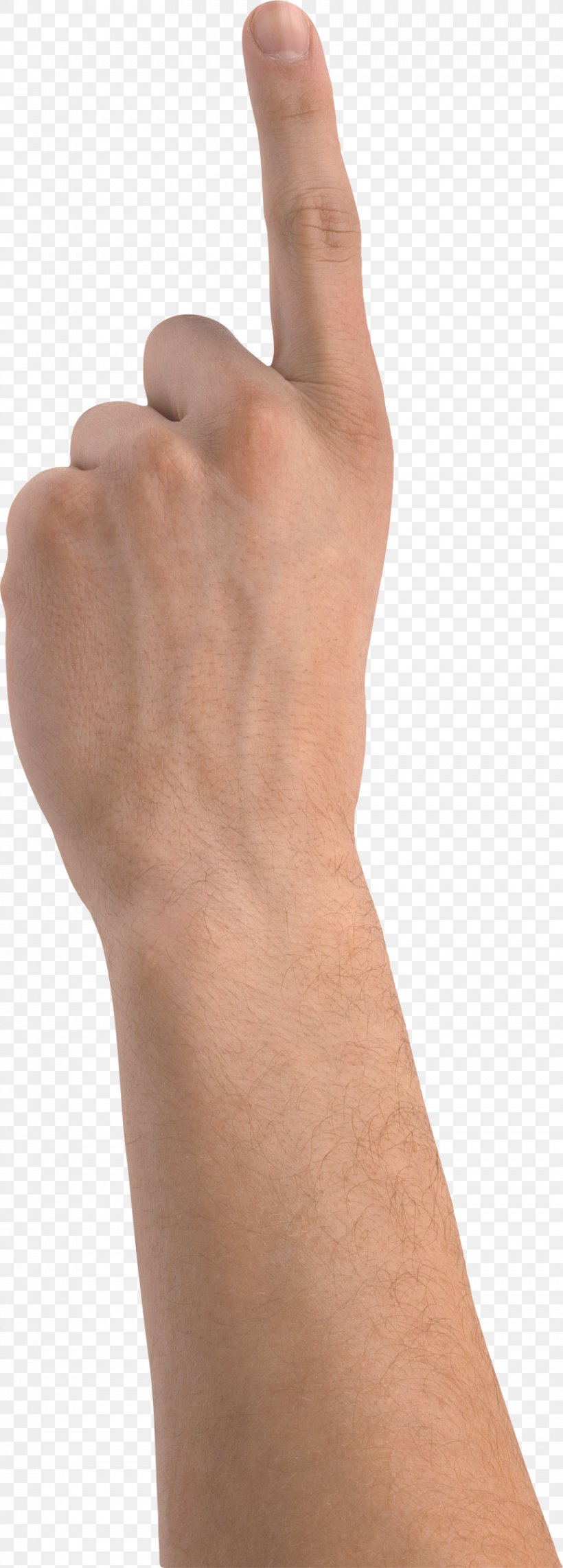 Man's Hand Thumb, PNG, 861x2399px, Hand, Ankle, Arm, Finger, Foot Download Free