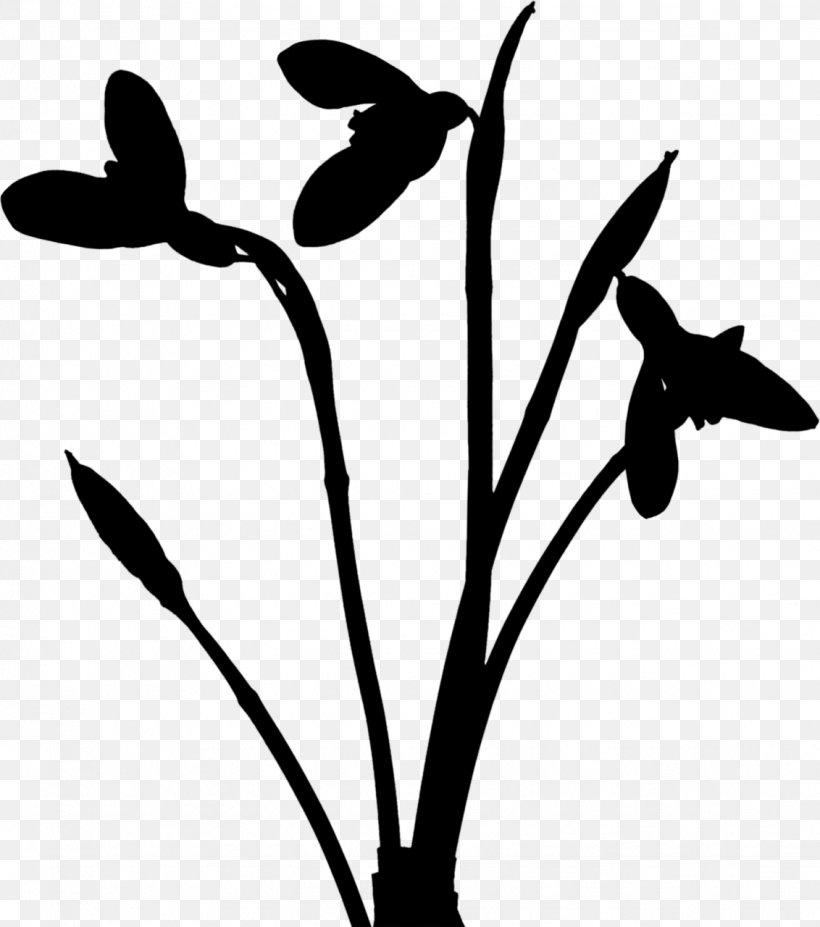 Twig Plant Stem Clip Art Flower Leaf, PNG, 1132x1280px, Twig, Beak, Blackandwhite, Botany, Branch Download Free