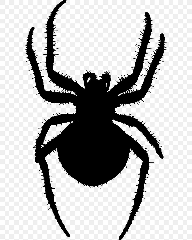 Angulate Orbweavers Spider Golden Silk Orb-weaver Clip Art, PNG, 610x1024px, Angulate Orbweavers, Arachnid, Araneus, Arthropod, Black And White Download Free