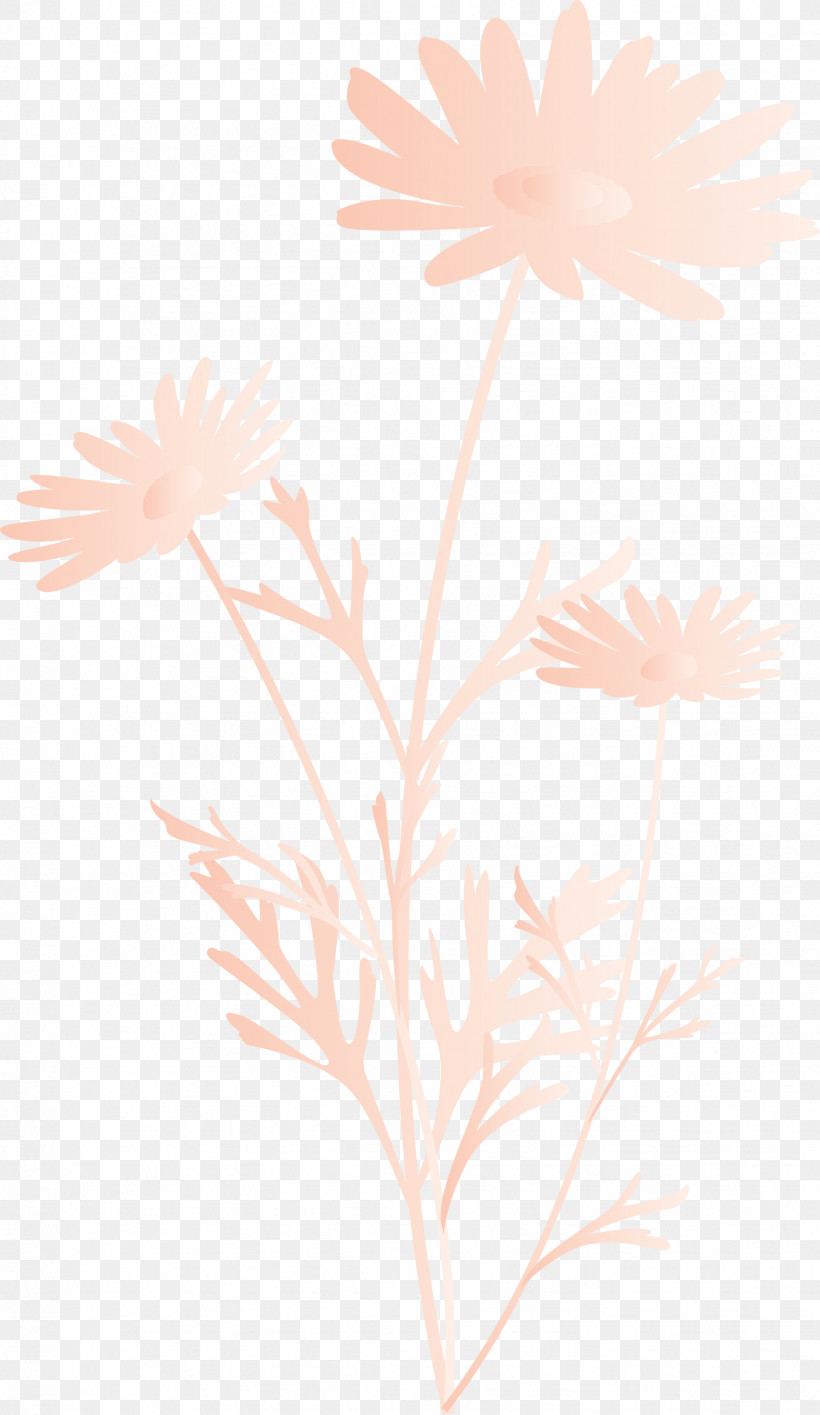Marguerite Flower Spring Flower, PNG, 1737x2999px, Marguerite Flower, Camomile, Dandelion, Flower, Pedicel Download Free