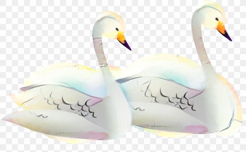Duck Cartoon, PNG, 2465x1524px, Duck, Beak, Bird, Ducks Geese And Swans, Goose Download Free