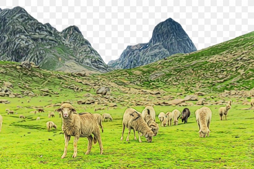 Natural Landscape Pasture Herd Highland Mountainous Landforms, PNG, 1880x1253px, Watercolor, Grassland, Herd, Highland, Hill Station Download Free