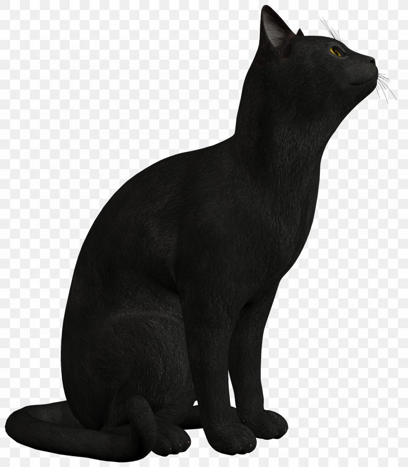 Persian Cat Black Cat Kitten Clip Art, PNG, 1745x2000px, Cat, Black, Black And White, Black Cat, Bombay Download Free