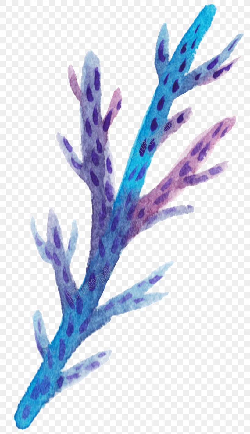 Jellyfish Coral Vector Graphics Watercolor Painting Image, PNG, 1024x1780px, Jellyfish, Algae, Aquarium Decor, Blue Coral, Branch Download Free