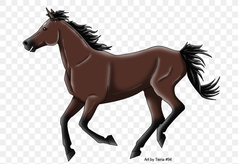 Mane Mustang Foal Stallion Colt, PNG, 700x564px, Mane, Bridle, Cartoon, Colt, Foal Download Free
