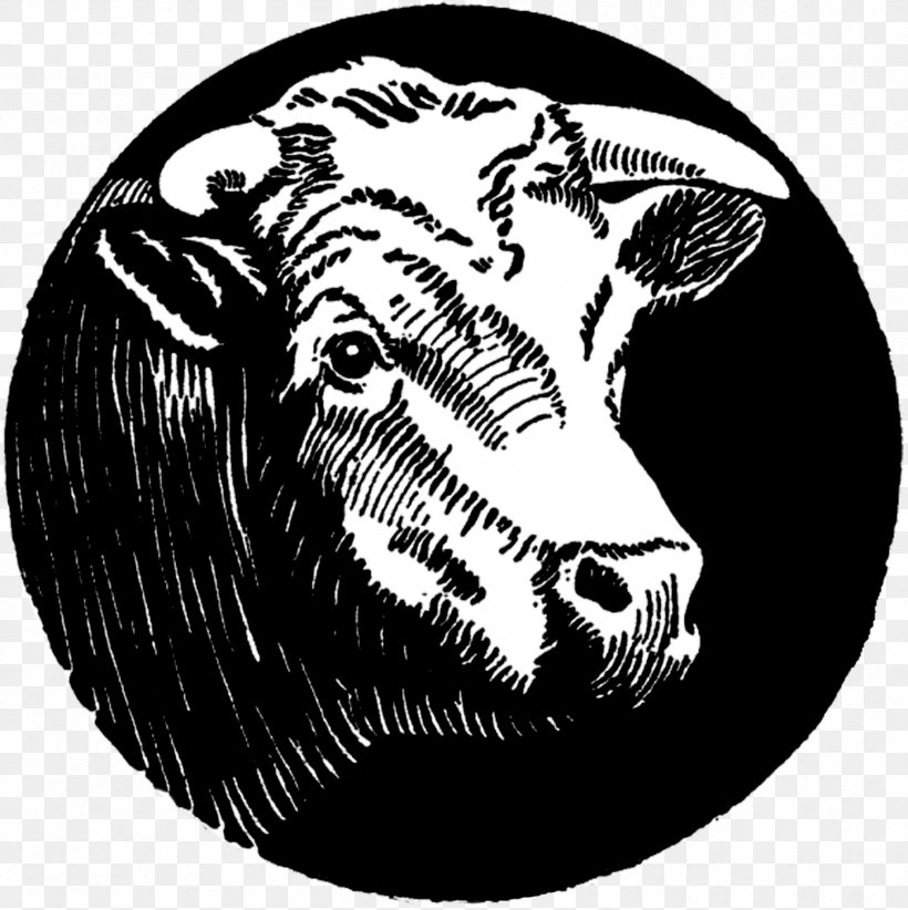 Bear Horse Pig Drawing Snout, PNG, 1794x1800px, Bear, Animal, Black And White, Carnivoran, Cattle Like Mammal Download Free