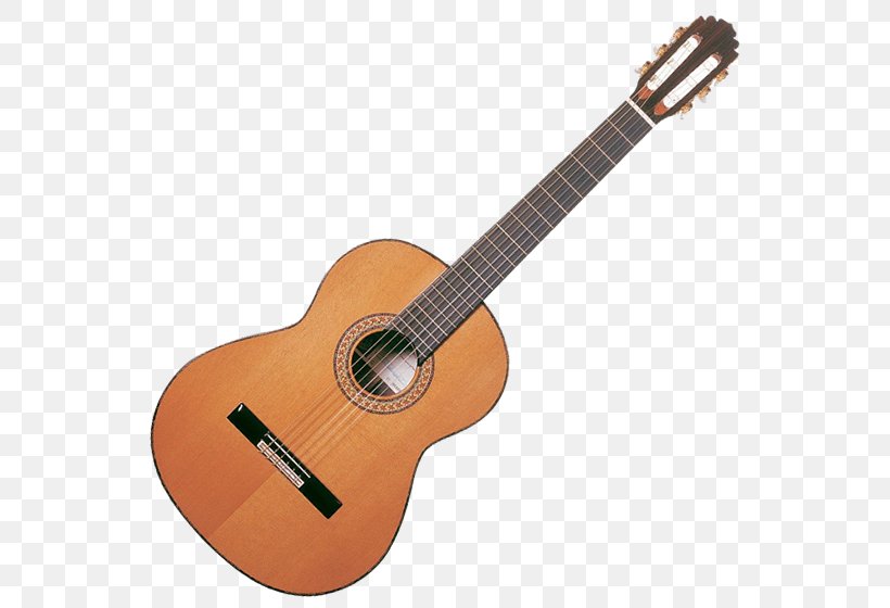 Classical Guitar Acoustic Guitar Musical Instruments Acoustic-electric Guitar, PNG, 560x560px, Watercolor, Cartoon, Flower, Frame, Heart Download Free