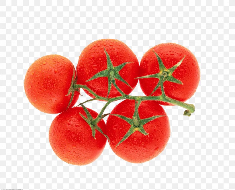 Plum Tomato Organic Food Vegetable, PNG, 1024x829px, Plum Tomato, Apple, Auglis, Diet Food, Food Download Free
