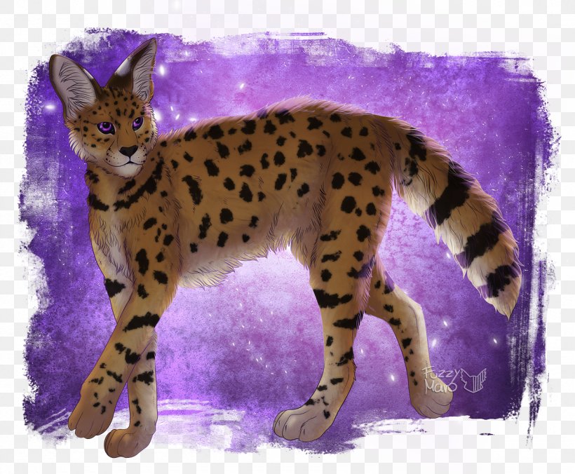Whiskers Cheetah Wildcat Terrestrial Animal, PNG, 1280x1056px, Whiskers, Animal, Big Cat, Big Cats, Carnivoran Download Free