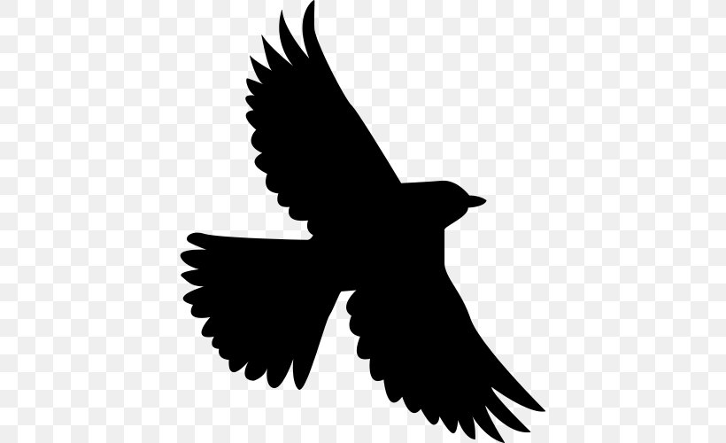 Bird T-shirt Owl Parrot Stork, PNG, 500x500px, Bird, Accipitriformes, Beak, Bird Of Prey, Black And White Download Free