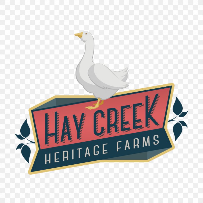 Cotton Patch Goose Hay Creek Heritage Farms Chicken Cayuga Duck, PNG, 1200x1200px, Farm, Advertising, Beak, Brand, Breed Download Free