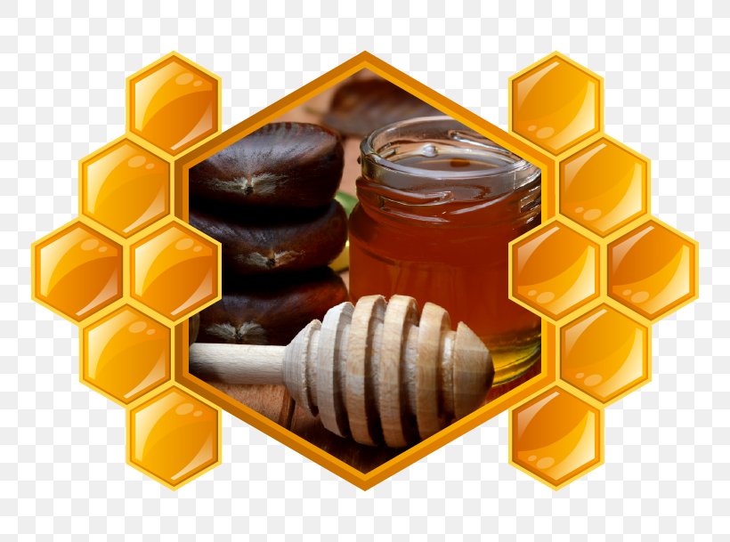 Honey Chestnut Food Wine Fotolia, PNG, 751x609px, Honey, Bonbon, Chestnut, Drink, Food Download Free