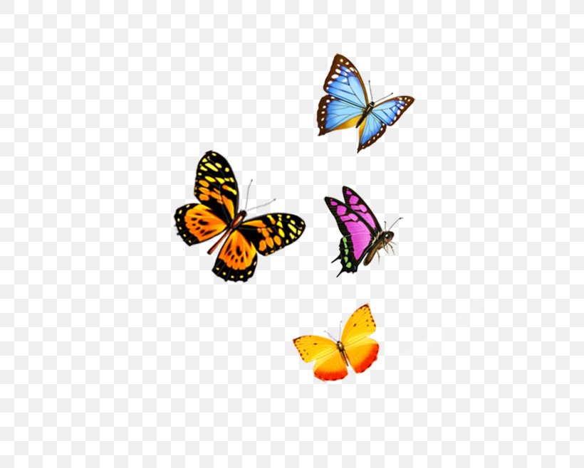 IPhone X Butterfly Telephone, PNG, 658x658px, Iphone X, Arthropod, Brush Footed Butterfly, Butterfly, Color Download Free
