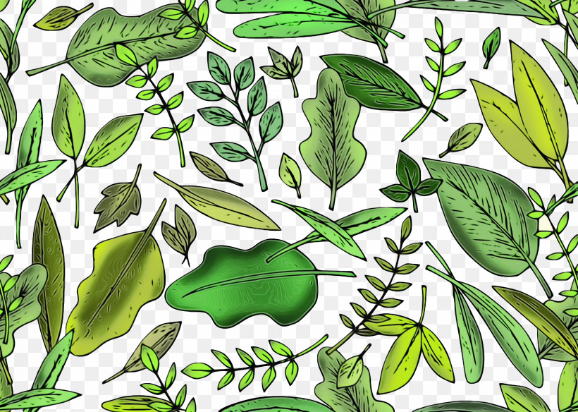Leaf Plant Stem Vegetable Herbal Medicine Herb, PNG, 1920x1368px, Watercolor, Biology, Herb, Herbal Medicine, Leaf Download Free