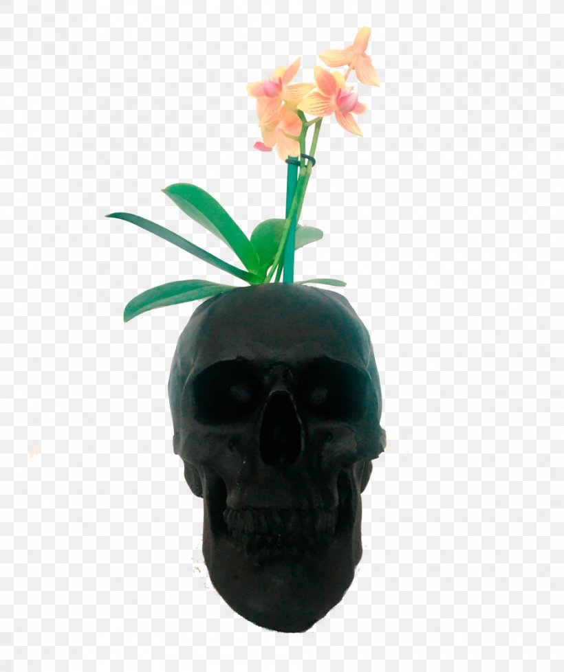 Skull Flowerpot Plant, PNG, 930x1110px, Skull, Bone, Flowerpot, Plant Download Free