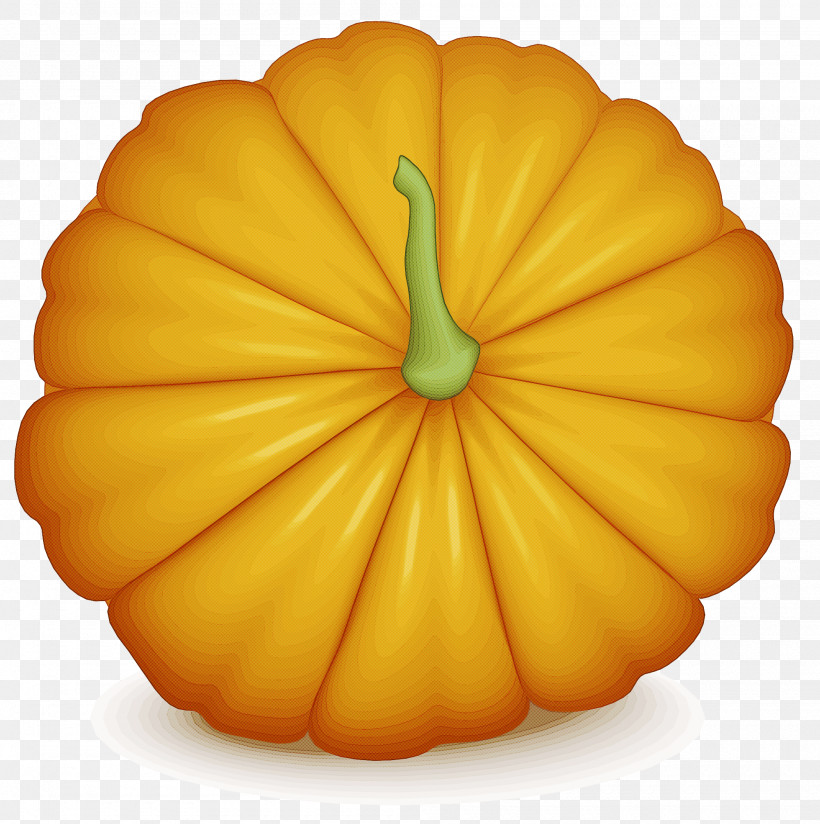 Squash Winter Squash Yellow Flower Petal, PNG, 2000x2011px, Squash, Flower, Fruit, Petal, Winter Squash Download Free